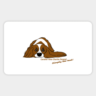 Cavalier King Charles Spaniel  - Simply the best Magnet